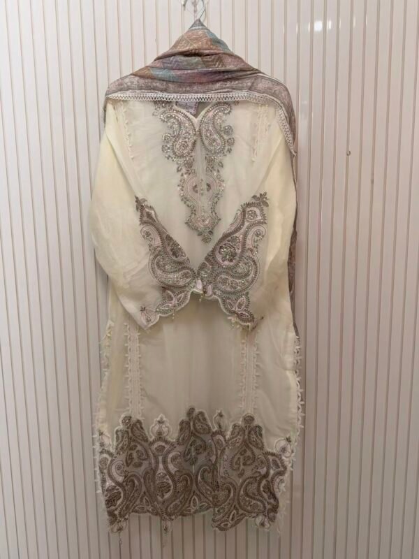 Premium Chiffon Designer Suit for Women | 2 Elegant Colors | Ladies Party Wear Suit | New Collection | Gazi Suits Jaipur